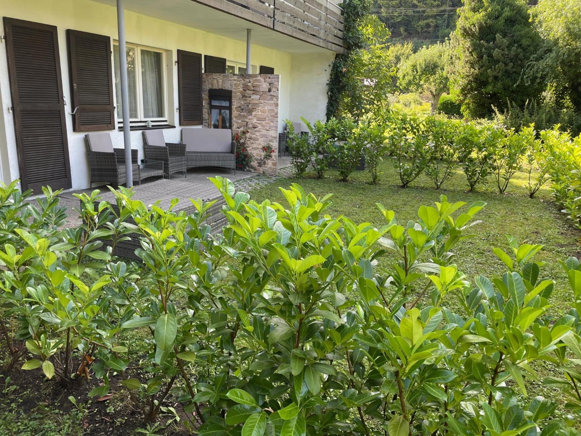 Hotel Restaurant Adler Stube Münstertal Екстериор снимка