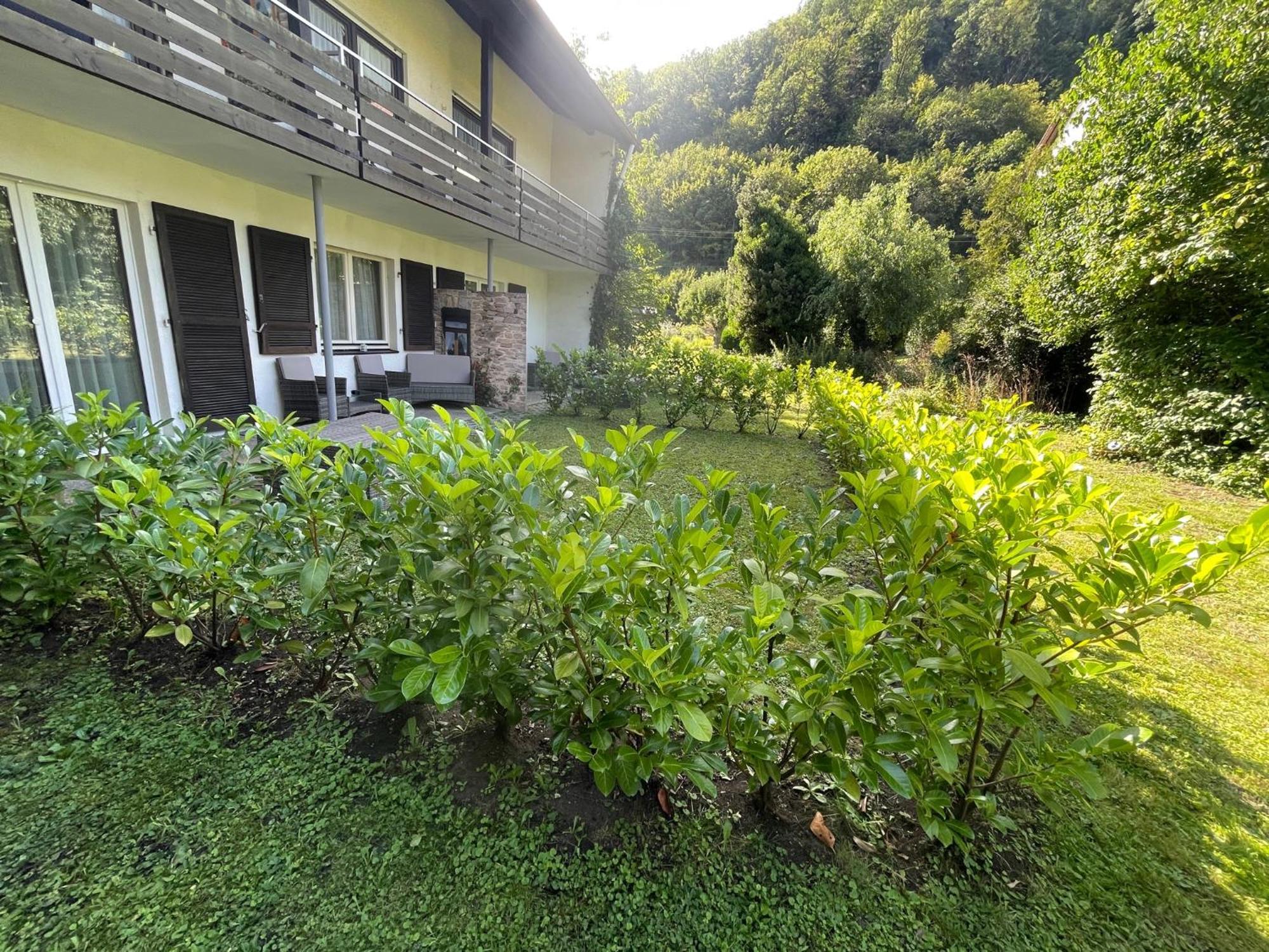 Hotel Restaurant Adler Stube Münstertal Екстериор снимка